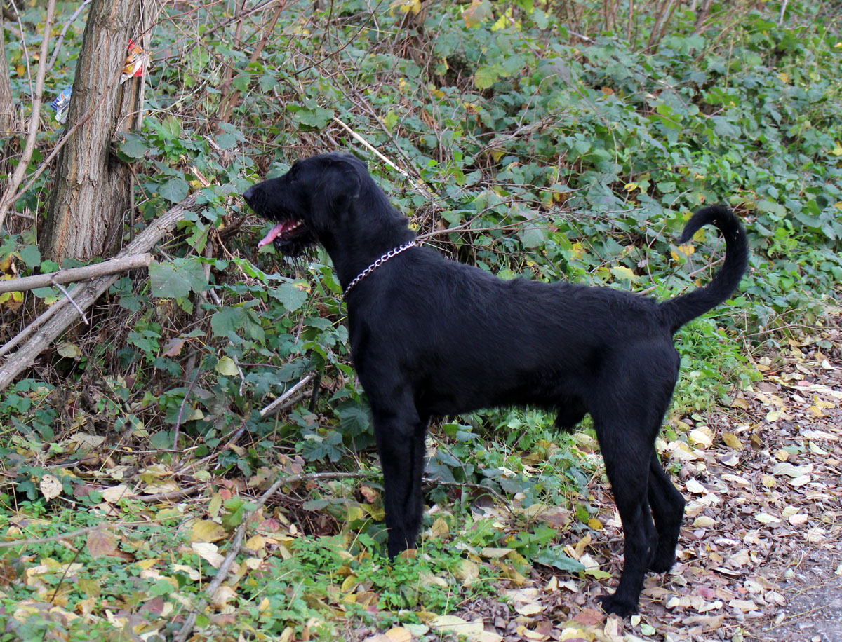 z-domu-na-skok-prvy-pokus