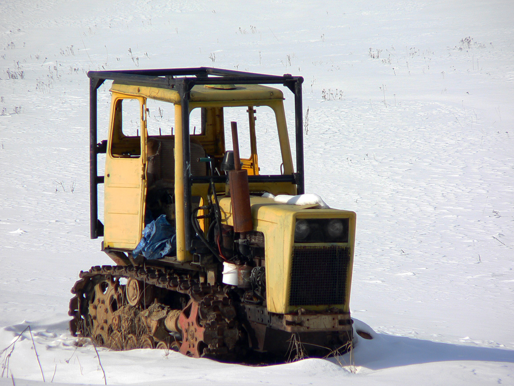 salatin-nizkotatransky-na-pasoch-z-luznej