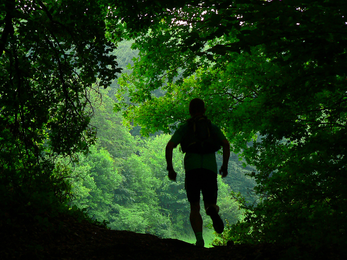 strazovska-patdesiatka-2018