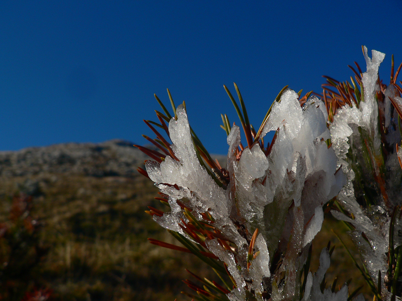 turisticky-aktual-z-hrebena-krivanskej-fatry