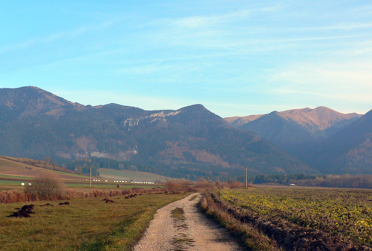 novembrove-babky-oklukou