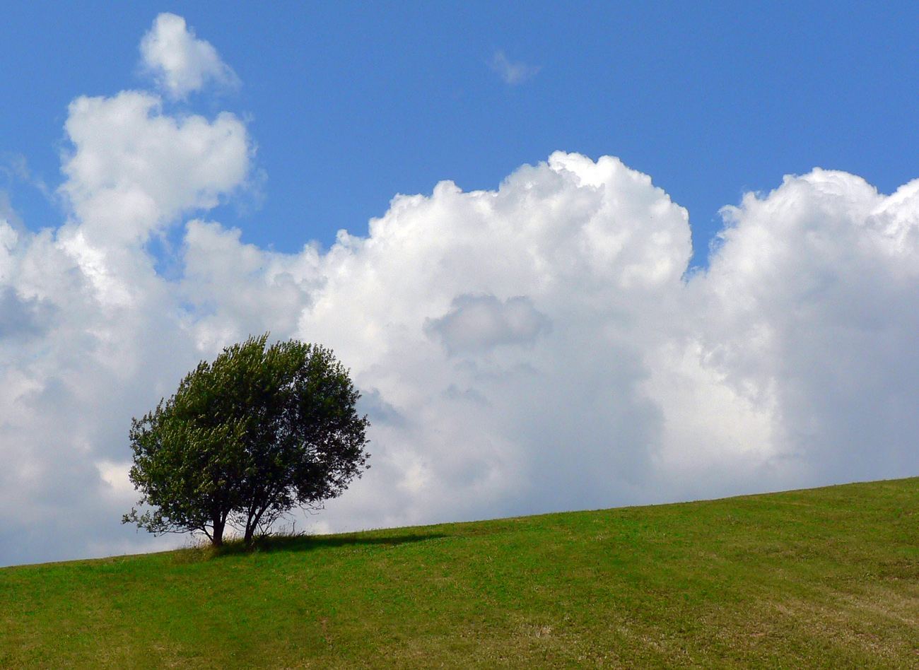 z-podbiela-do-kubina-juhom-