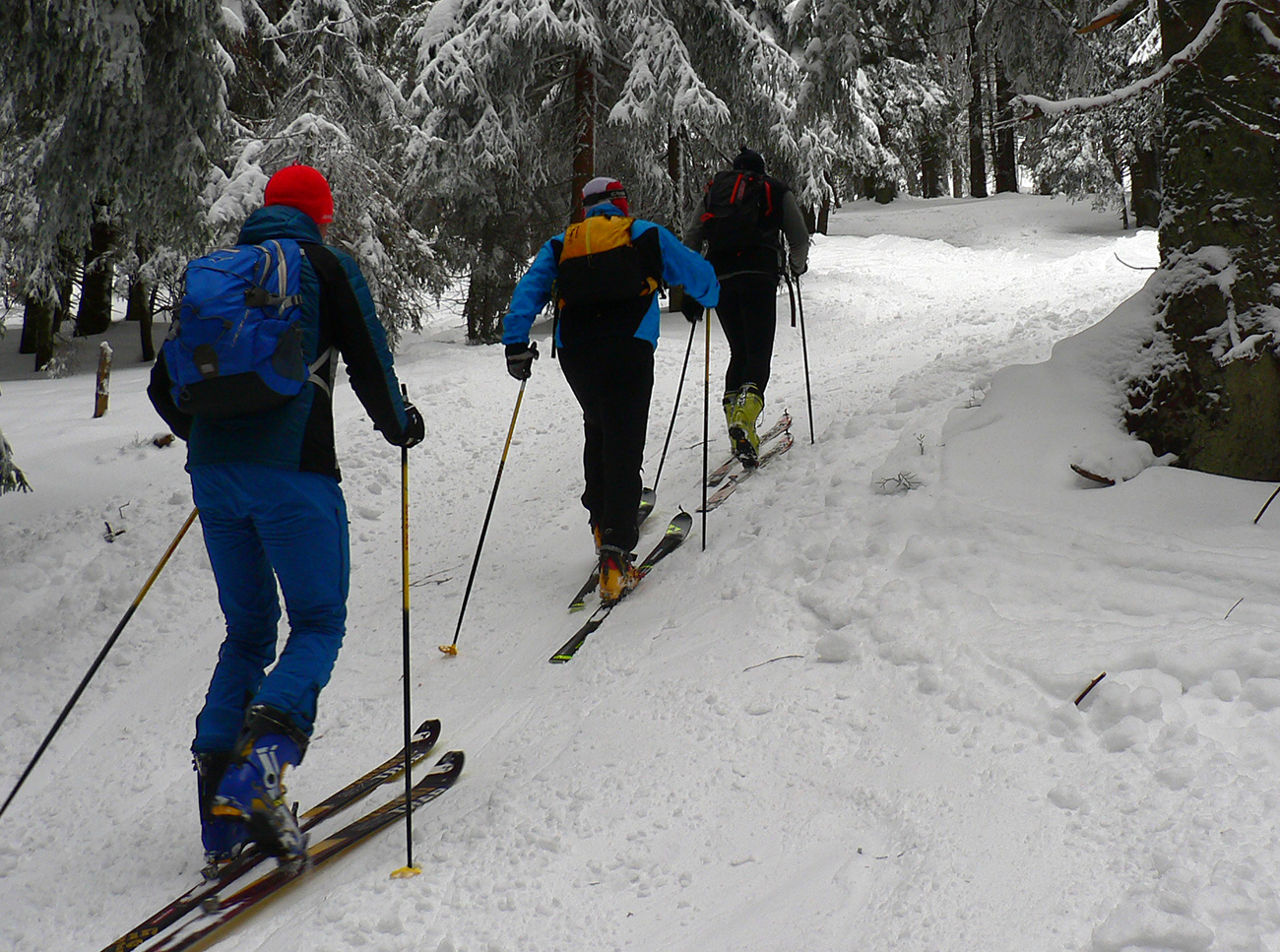 traja-krali-medzi-kubinskou-a-vasilovskou-holou