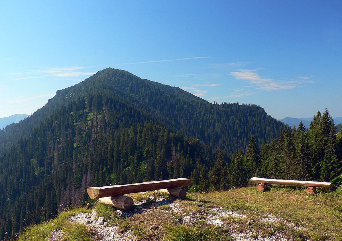 salatin-nizkotatransky-z-liptovskych-sliacov