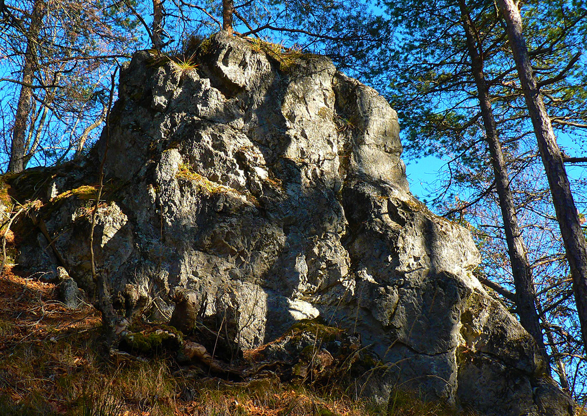 velka-fatra-z-podhradia-na-klak-a-suciansky-hrad