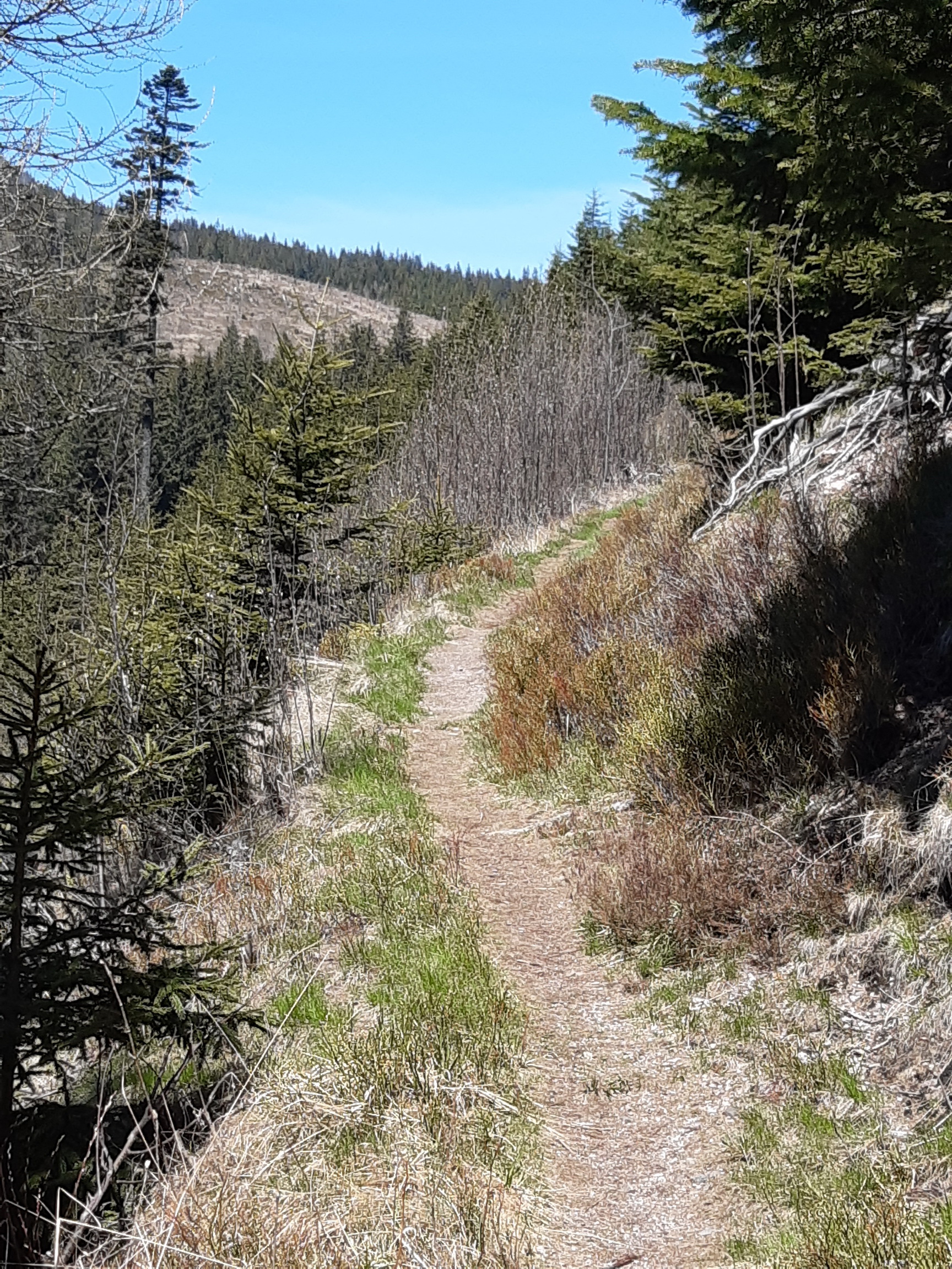 telgart-voglov-chodnik