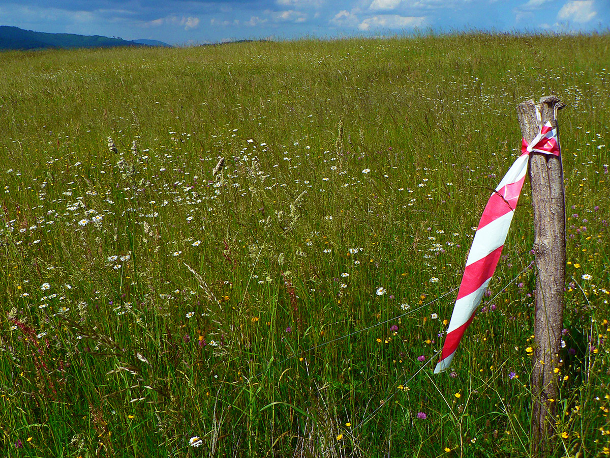 hrinovska-stovka-2021-–-zerava-opakovacka