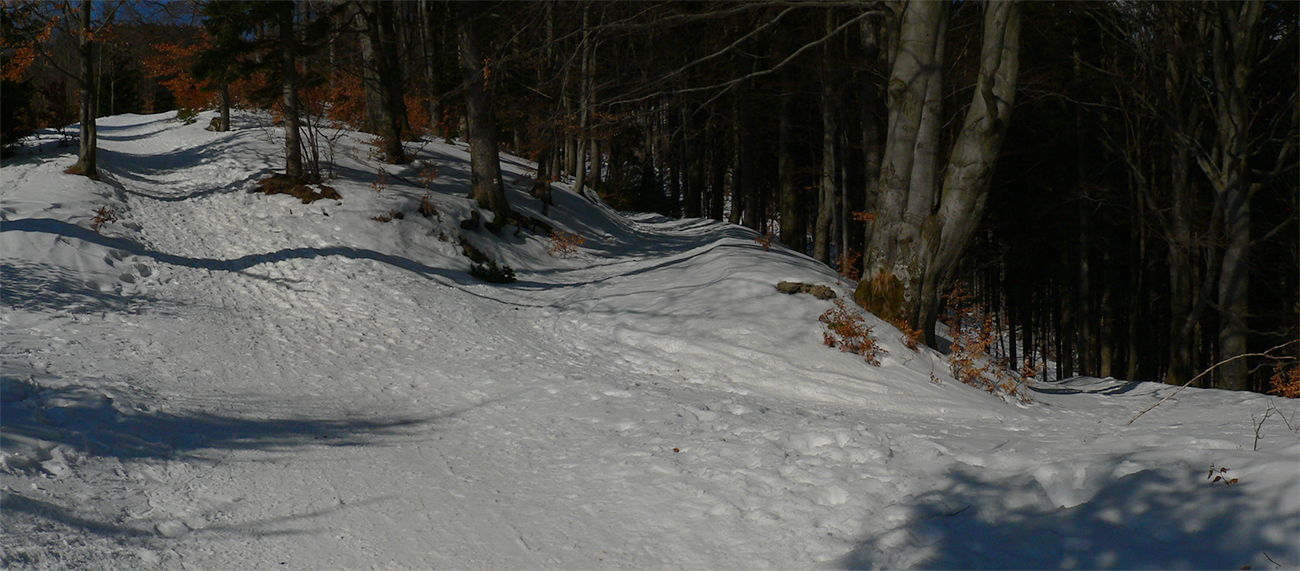 Rovinky_a_tiene_(vľavo)_suché,_strmšie_a_viac_do_slnka_otočené_kašan.