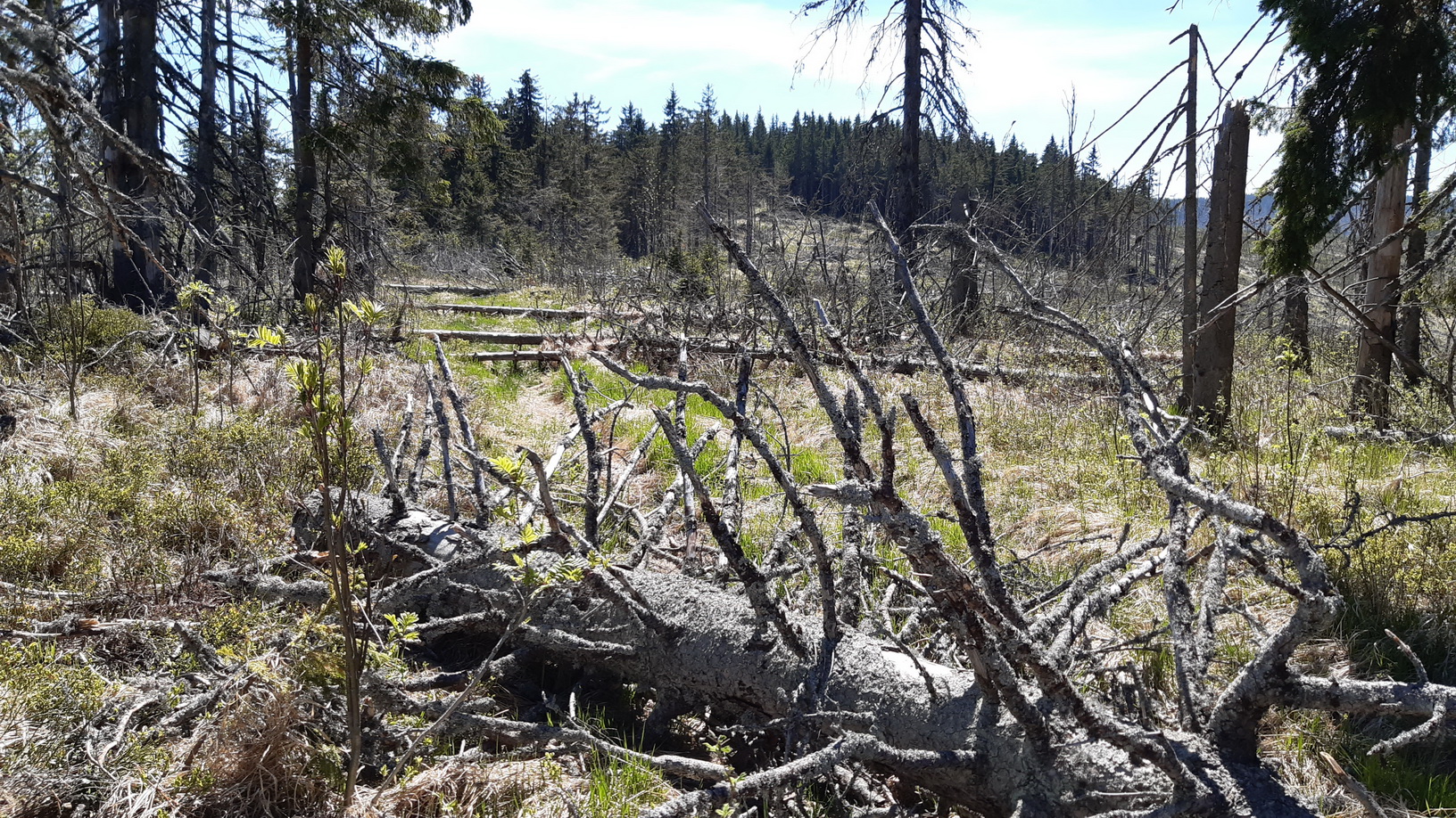 niekde_na_hrebeni_Kyprova_dostávam_prvú_výstrahu