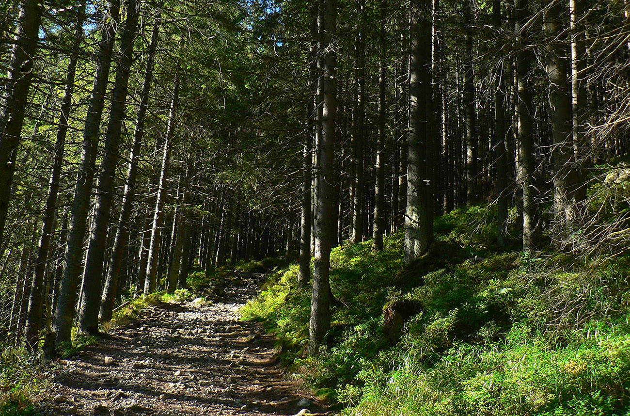 ...a_to_už_je_krajšia_prechádzka.