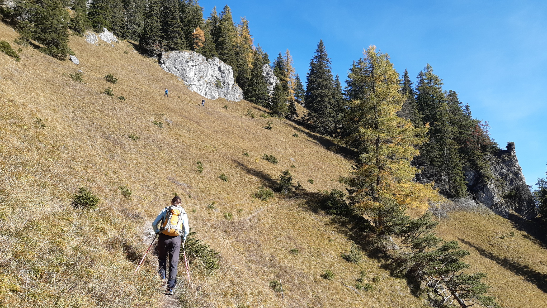 serpentíny_na_trávnatých_strmých_lúkach