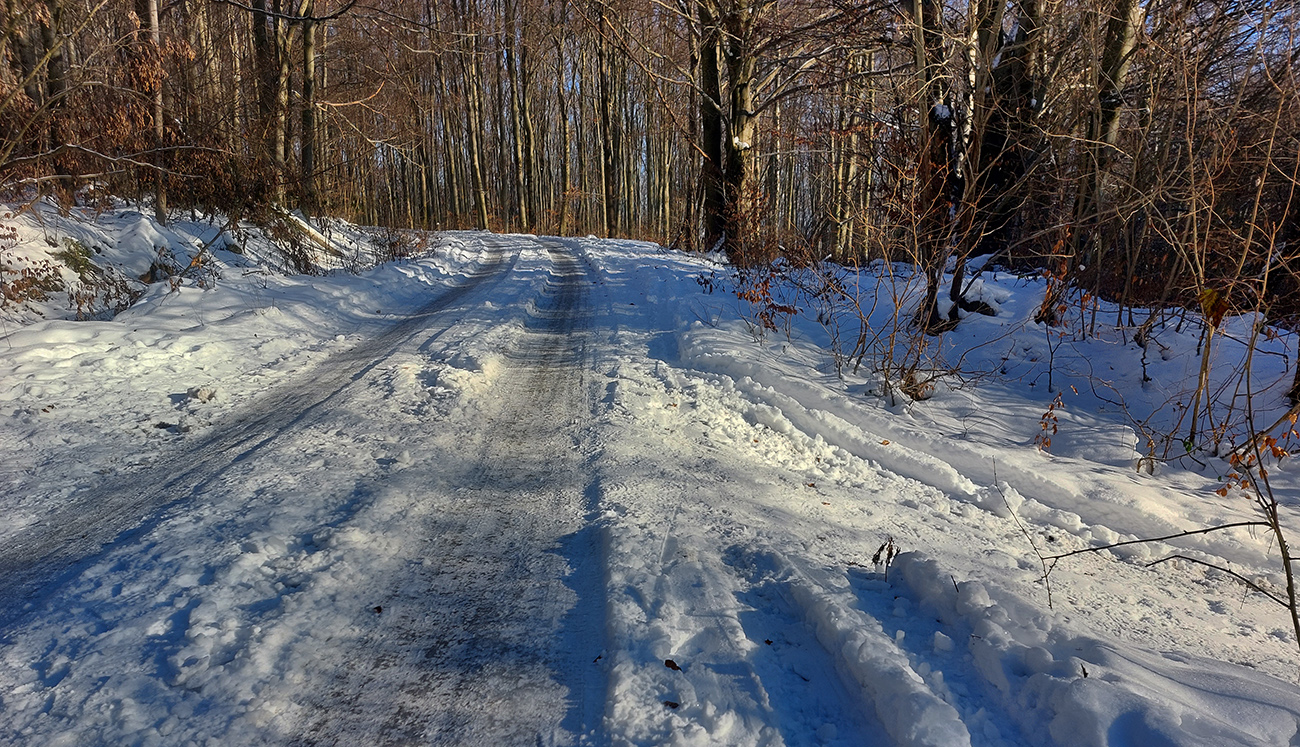 Križovanie žltej s cestou na Zajacovú – asi by som šiel po ceste. Križovanie_žltej_s_cestou_na_Zajacovú_–_asi_by_som_šiel_po_ceste._