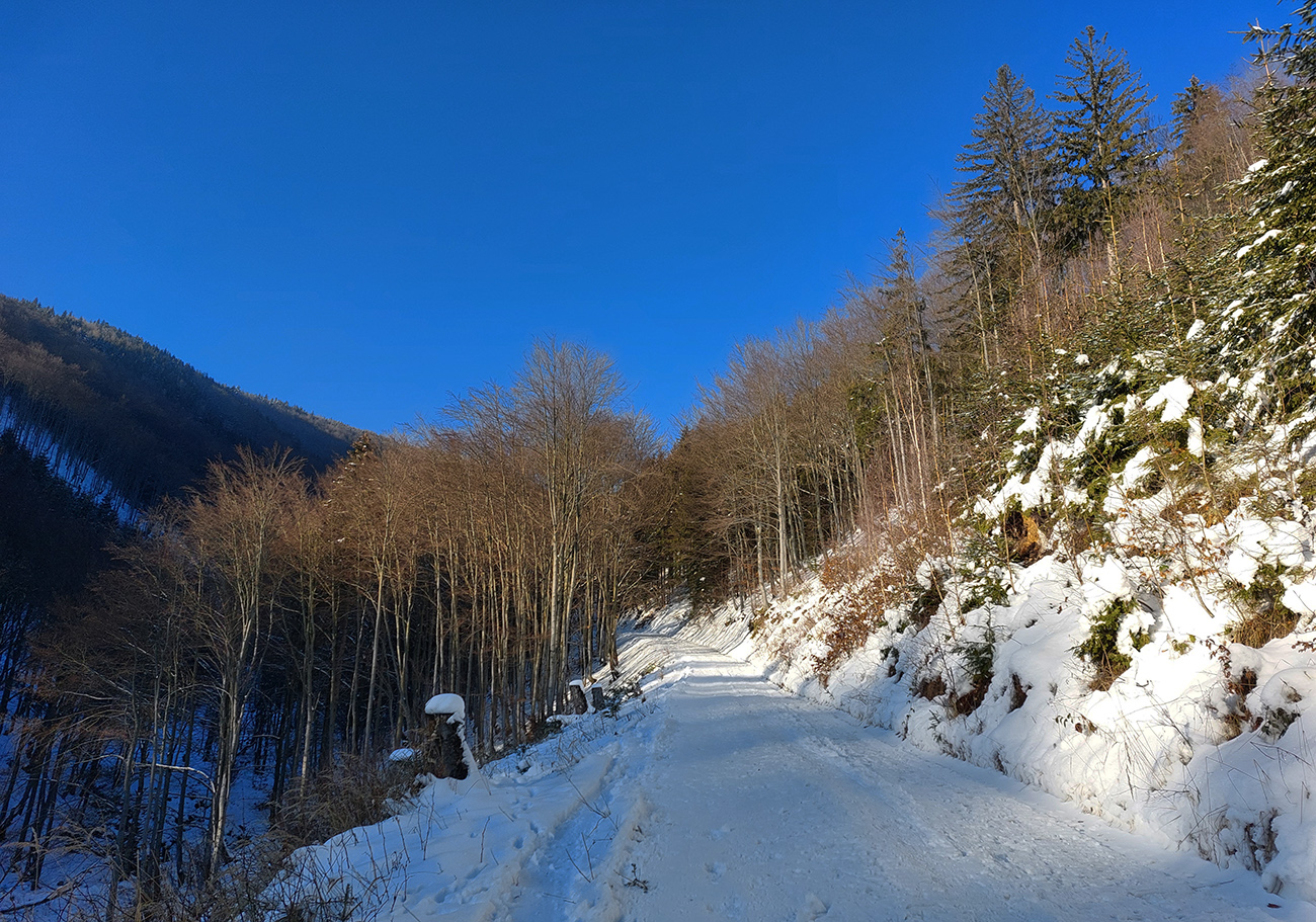 Cesta pod zákrutou sa tvári chrumkavo... Cesta_pod_zákrutou_sa_tvári_chrumkavo...