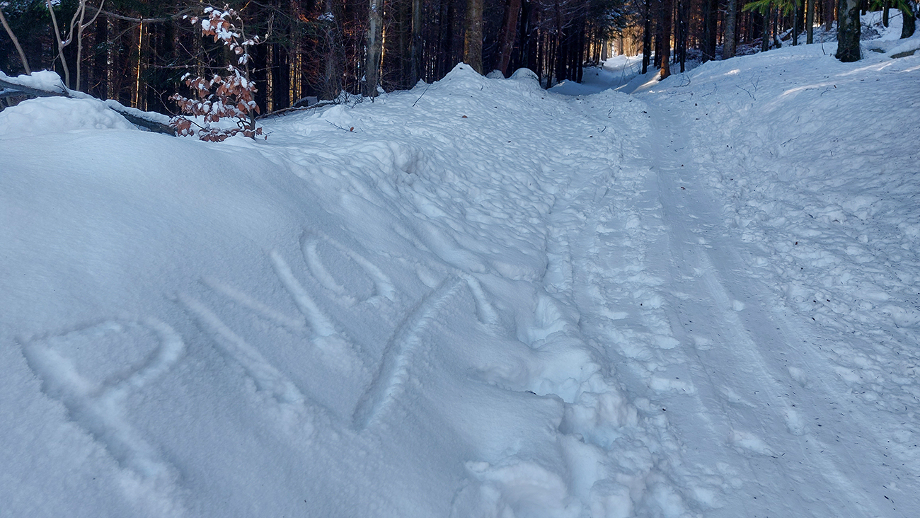 Na skládke odbočka skialpová: tradícia musí byť! Na_skládke_odbočka_skialpová:_tradícia_musí_byť!