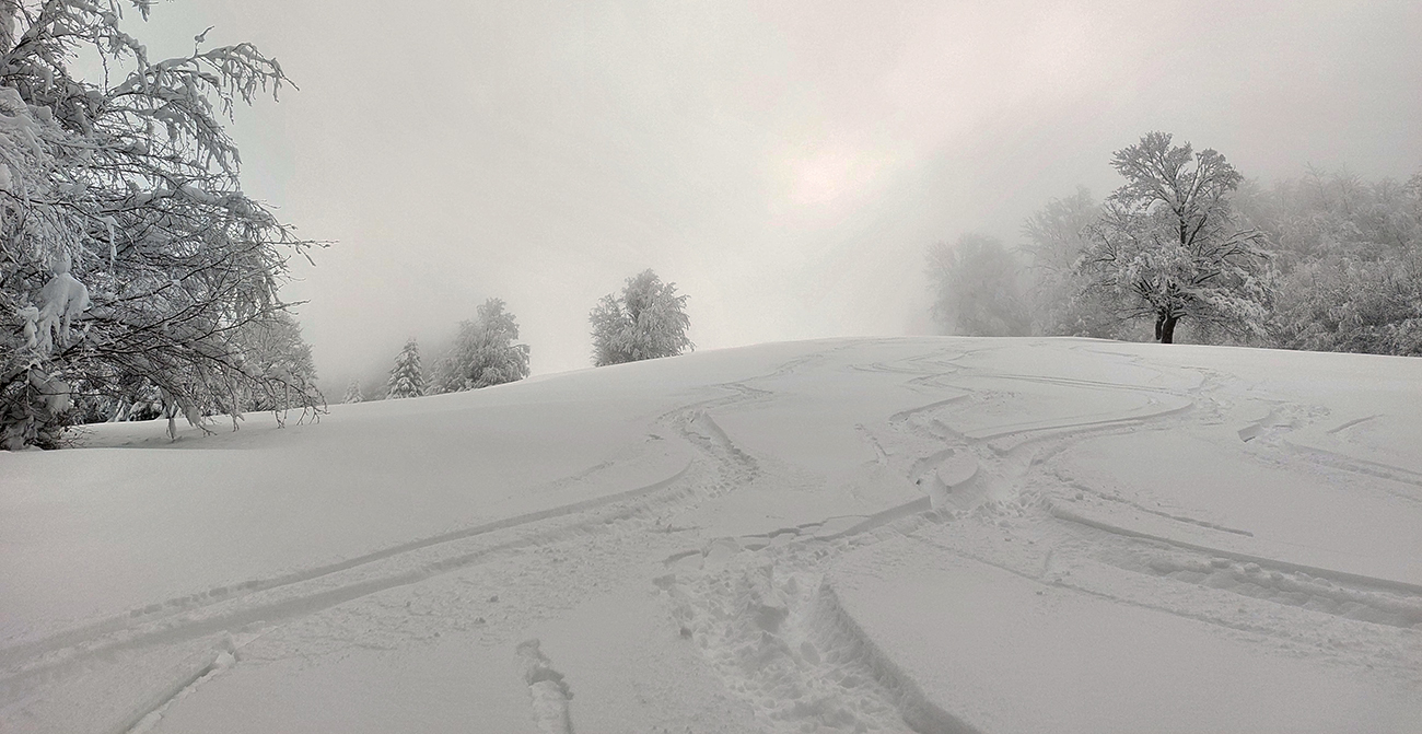 Tri_pravidelné_a_jedna_przniteľská_:-)