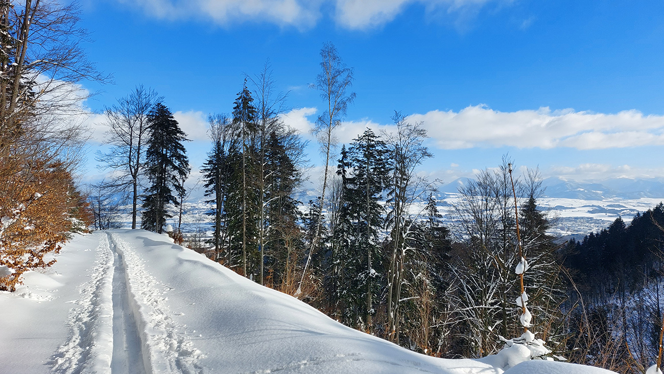Čím_bližšie_dole_do_kotliny,_tým_krajšie_farby.
