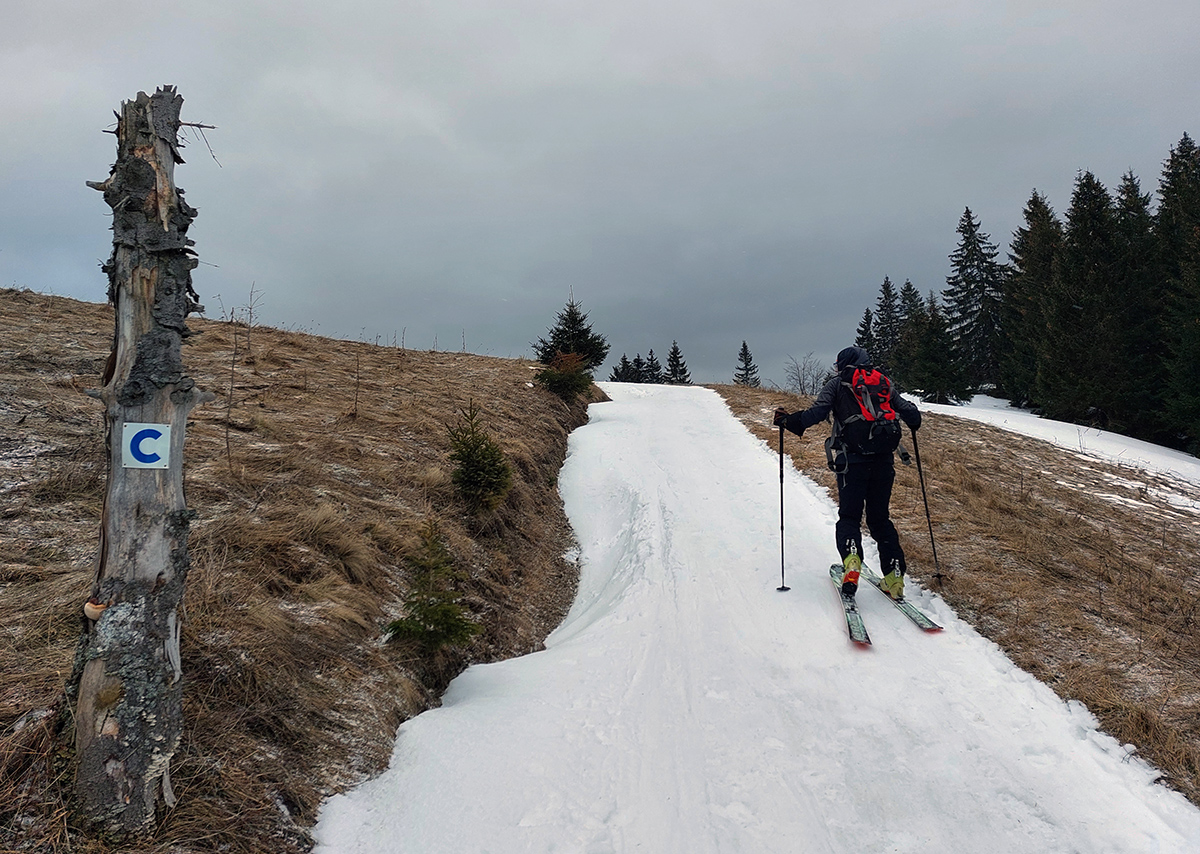 malinne-a-l�iprun-aktualne-na-lade-