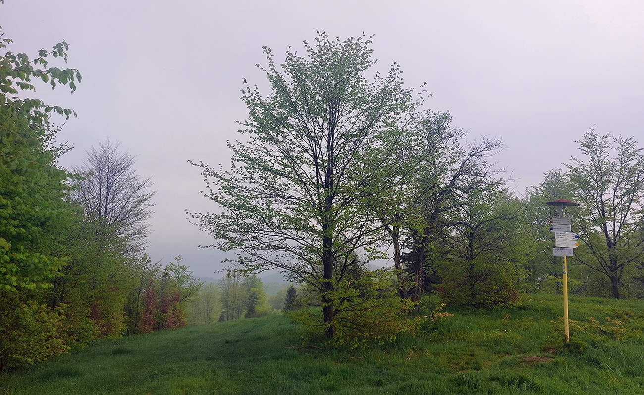 Malý_Minčol_stále_pod_sivou_dekou,_ale_fajn.