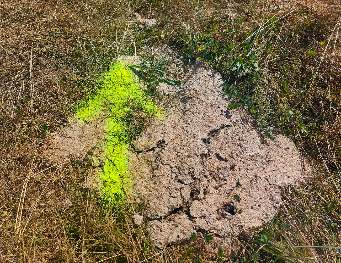 hrinovska-stovka-2023-jesenno-letna-edicia