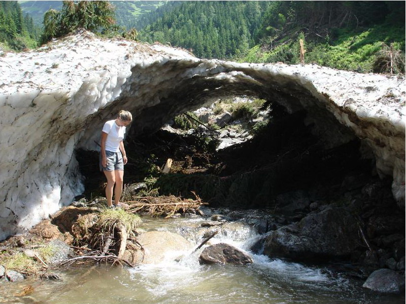 zasnezeny-letny-parichvost