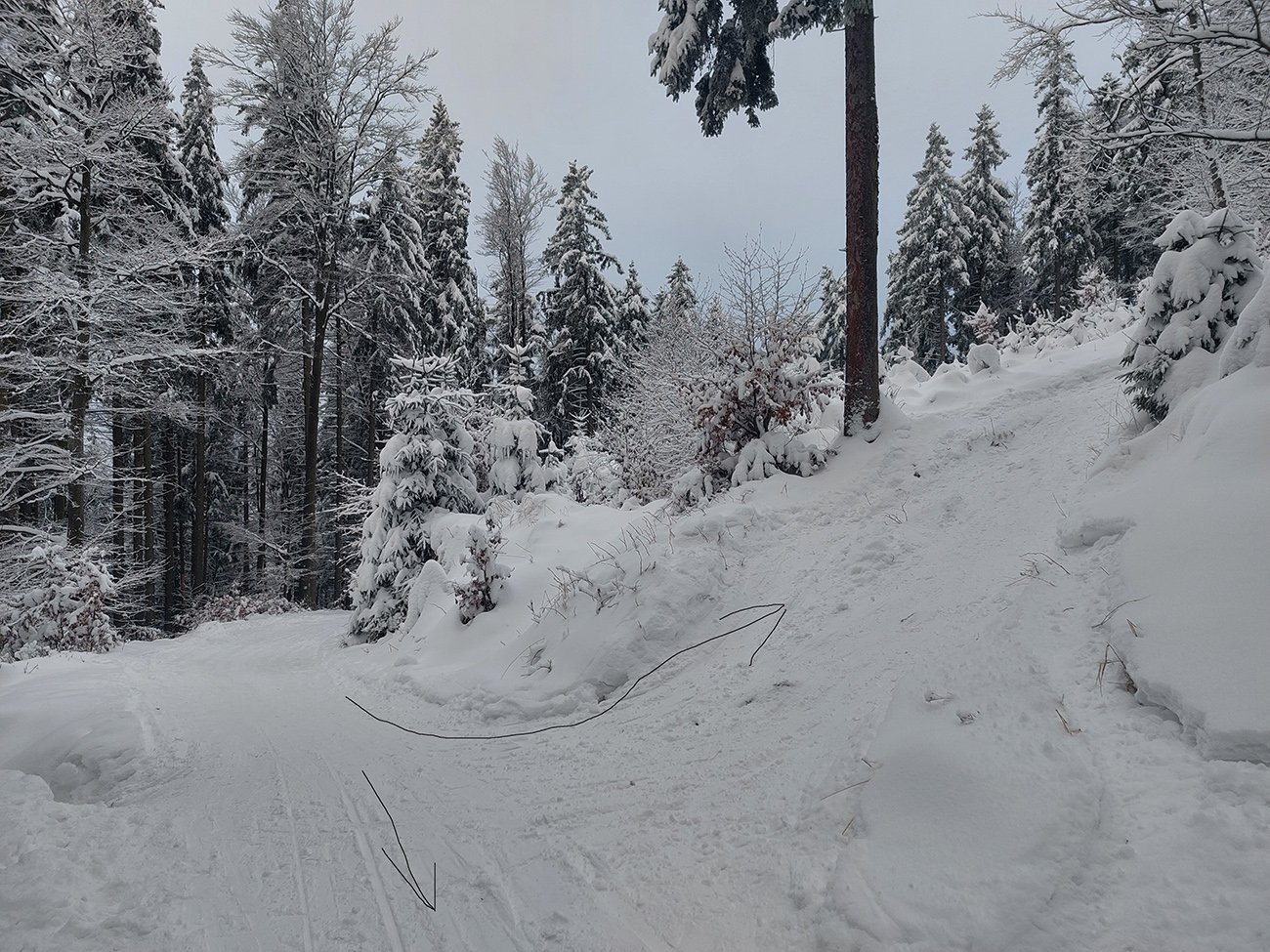 Posledná skratka na cestu je strmá, tak cestou dole už prebrzdená. Posledná_skratka_na_cestu_je_strmá,_tak_cestou_dole_už_prebrzdená.