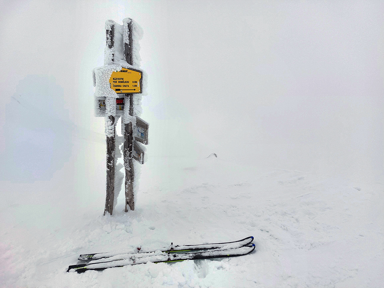 ziarska-dolina-aktualne-istota-normalneho-snehu-aj-za-odmaku-