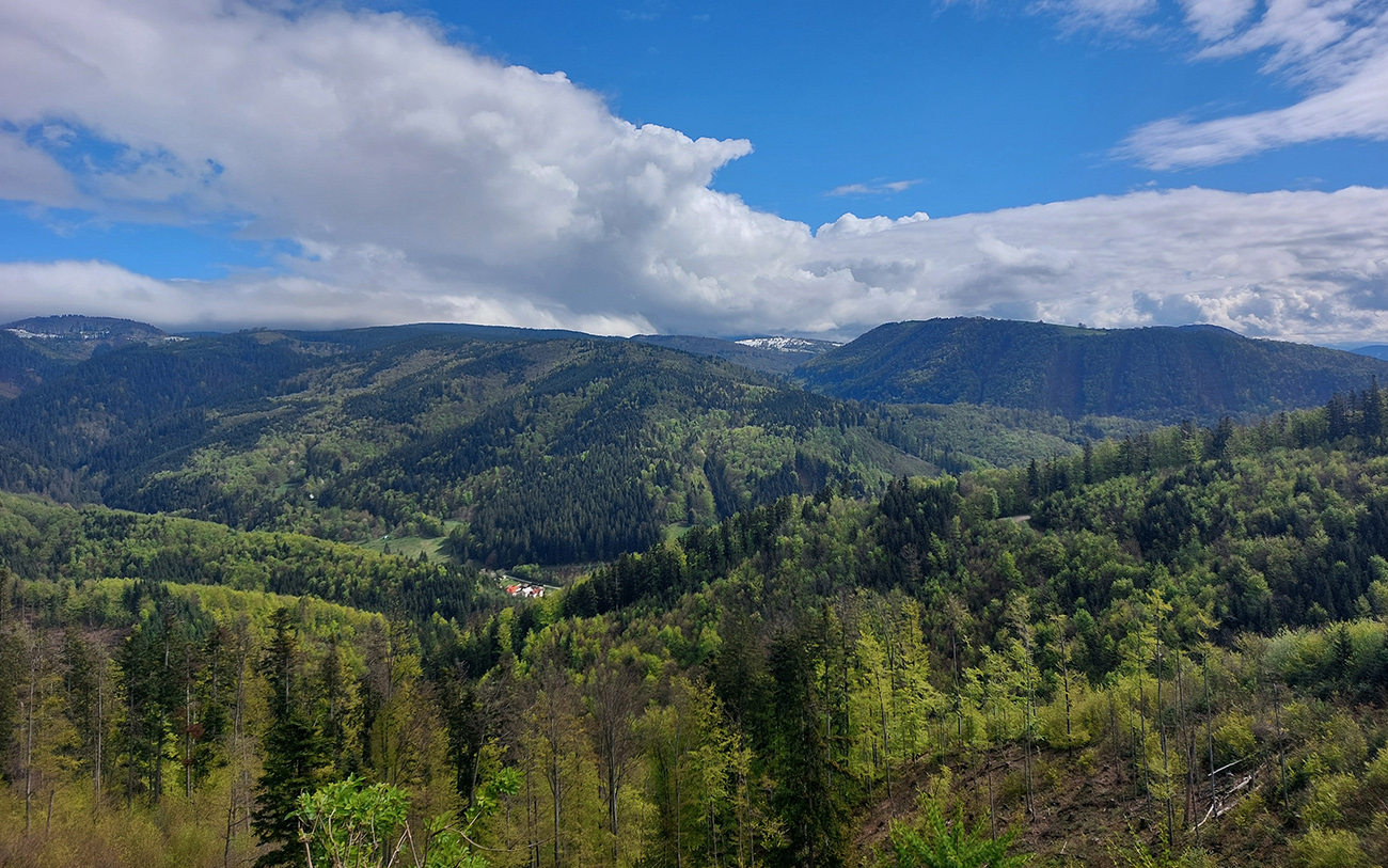Dole Baláže, vzadu Pleše, v mrakoch Kozí chrbát. Dole_Baláže,_vzadu_Pleše,_v_mrakoch_Kozí_chrbát.