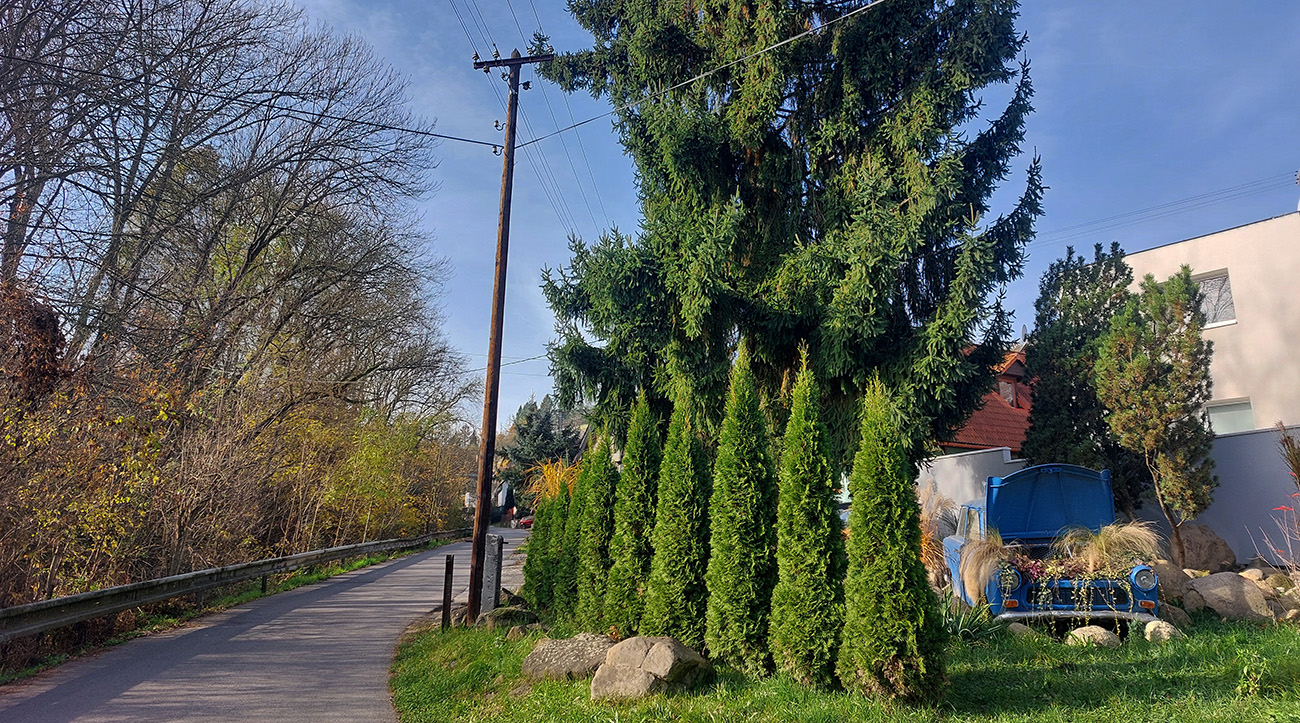 ...ale_stúpanie_začína_až_pri_„kvetináči“.