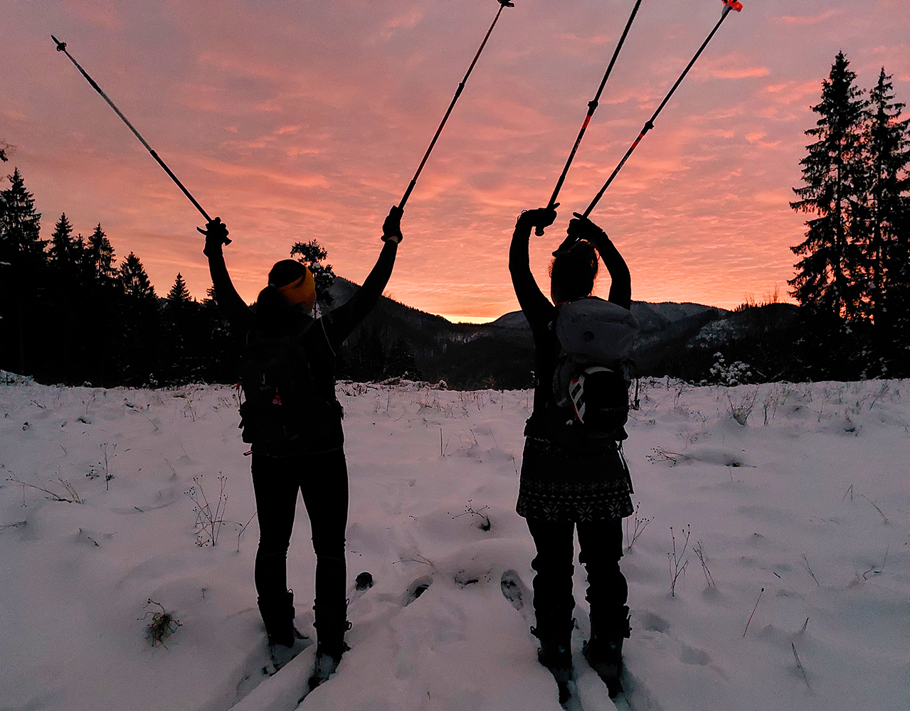 lysec-velkofatransky-nocny-prasanovy-aktual