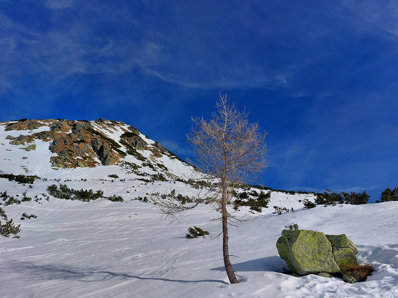 ziarska-dolina-stavka-na-istotu