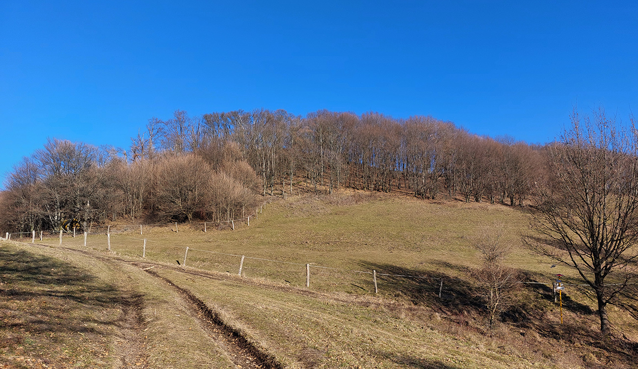 Súdenica: modrá doprava popri smerovníku, opúšťam ju doľava po žltej. Súdenica:_modrá_doprava_popri_smerovníku,_opúšťam_ju_doľava_po_žltej.