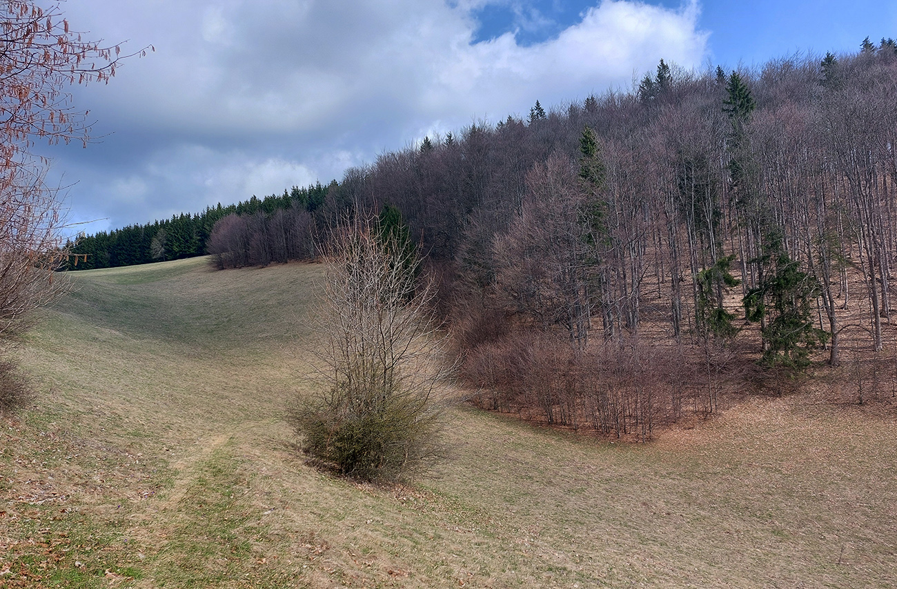 ...len_raz_križuje_odlesnenú_muldu_v_závere_Sásovskej_doliny.