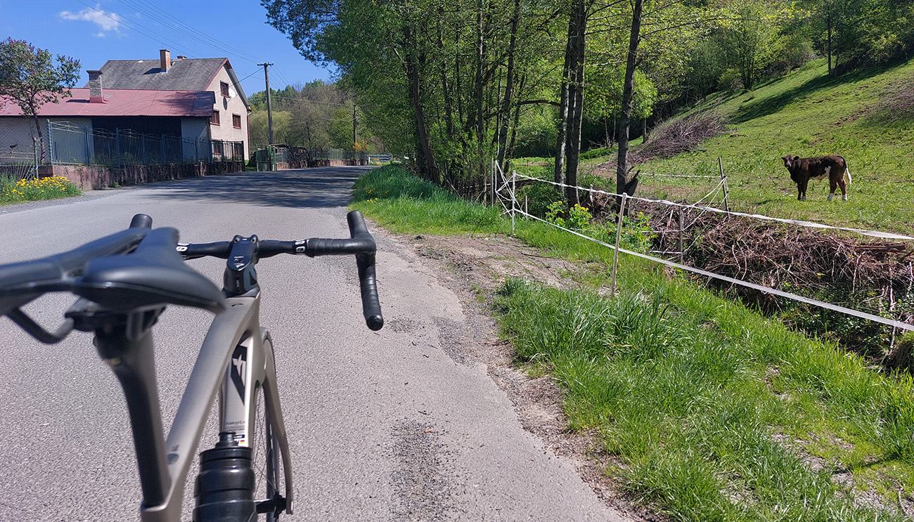 V_takmer_nulovom_sklone_popri_potoku...