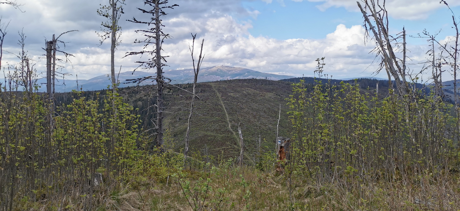 pohľad_od_Stolice_na_Kráľovu_Hoľu