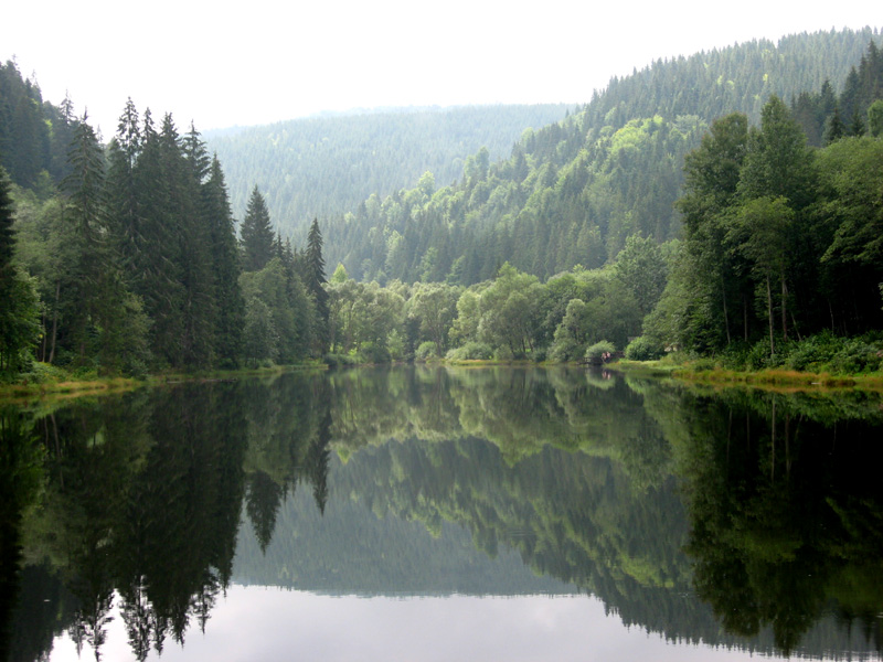 od-vepra-k-vepru-den-druhy-asfaltovy