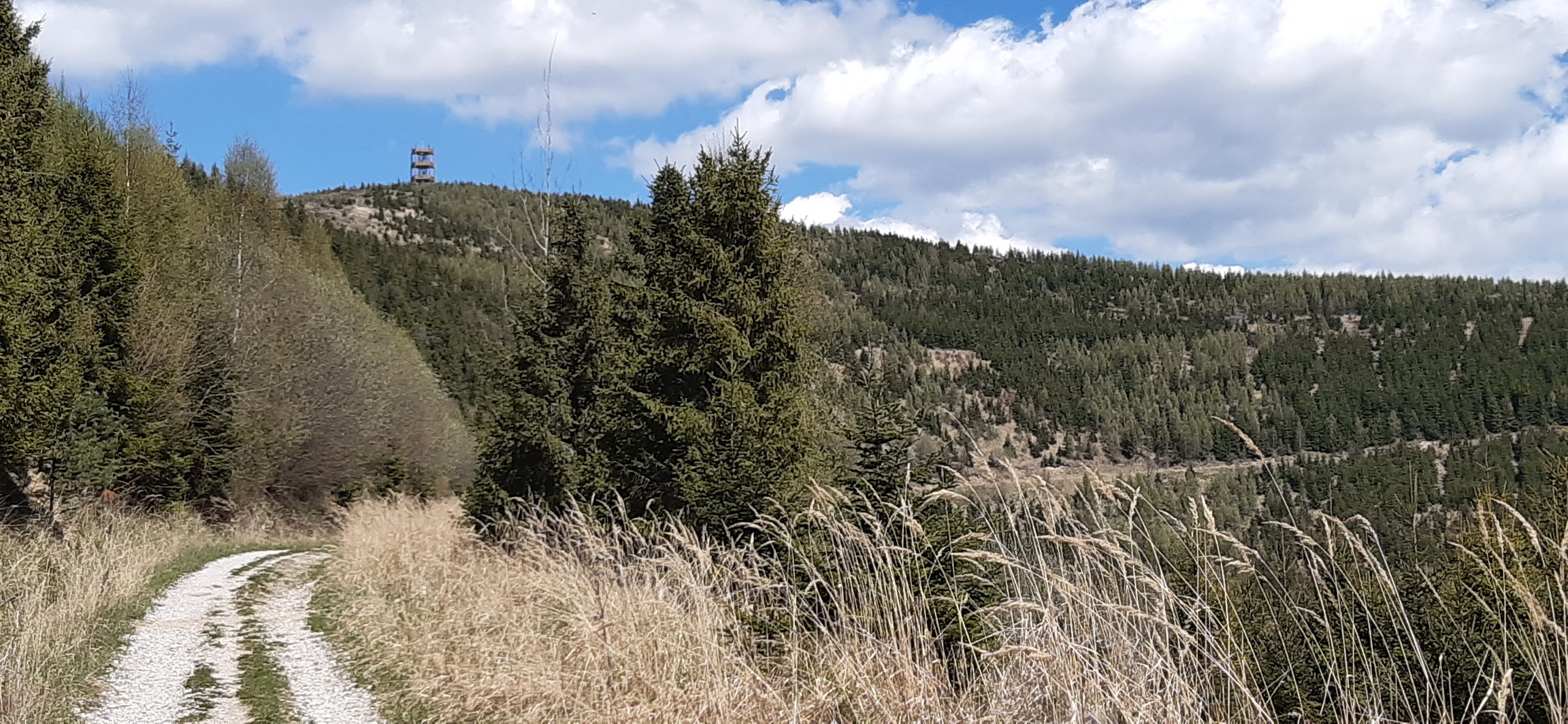 Levočské_vrchy,_v_pozadí_už_vidno_rozhladňu_na_Marčulinej