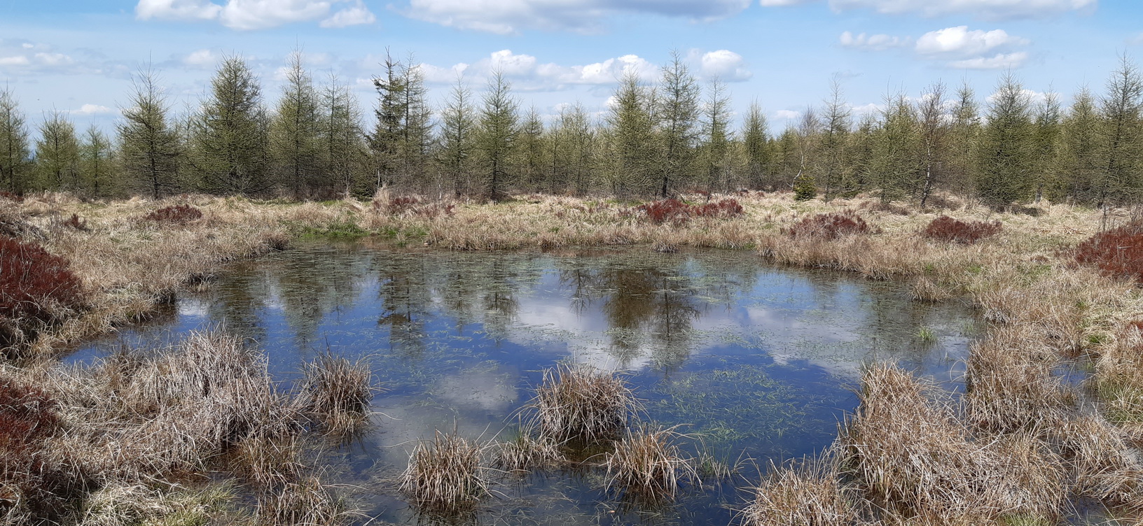 na_hrebeni_sa_spravilo_jazierko