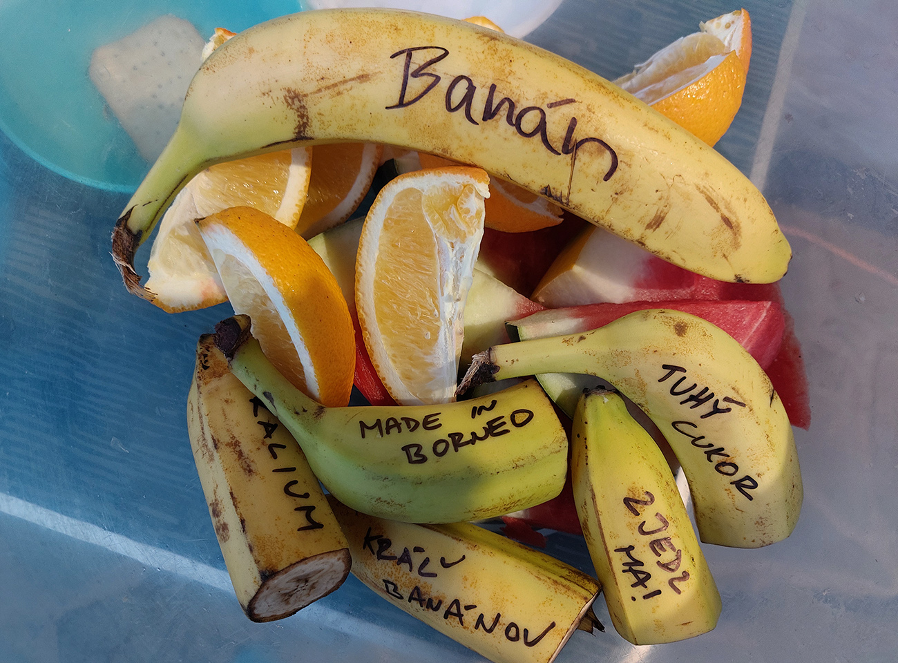 nizkotatranska-stihacka-2025