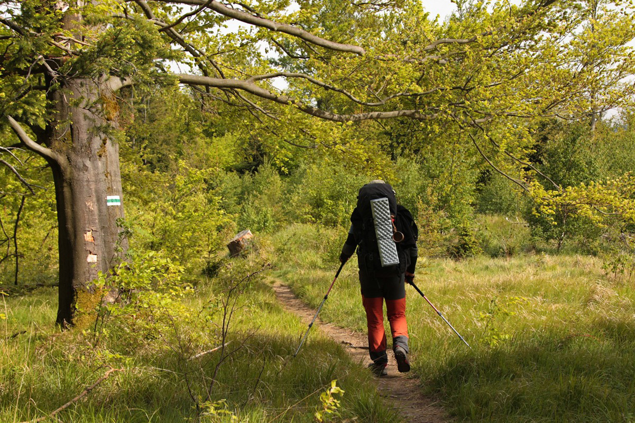 rychlebske-hory-den-treti-z-boruvkovej-hory-do-pekla