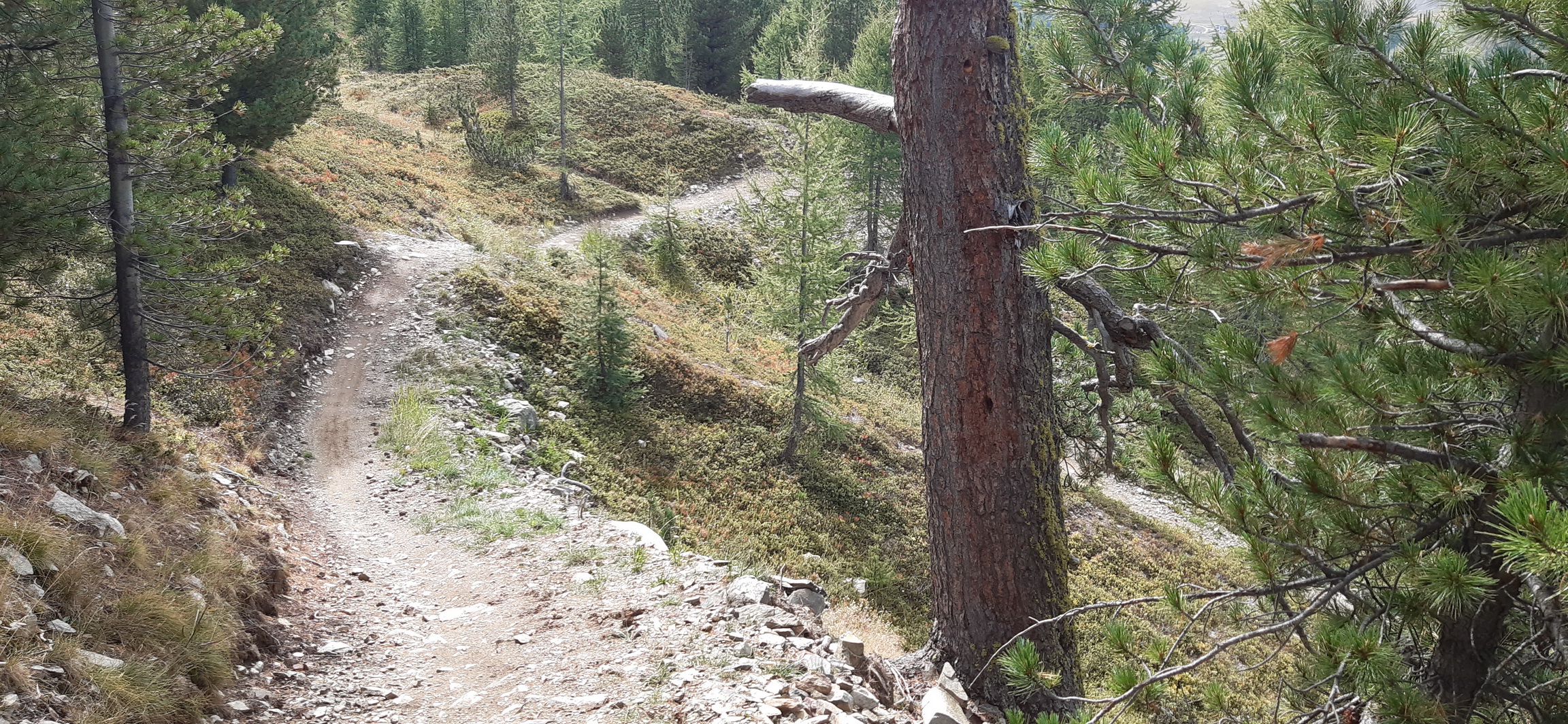 Enduro natural v lese Enduro_natural_v_lese