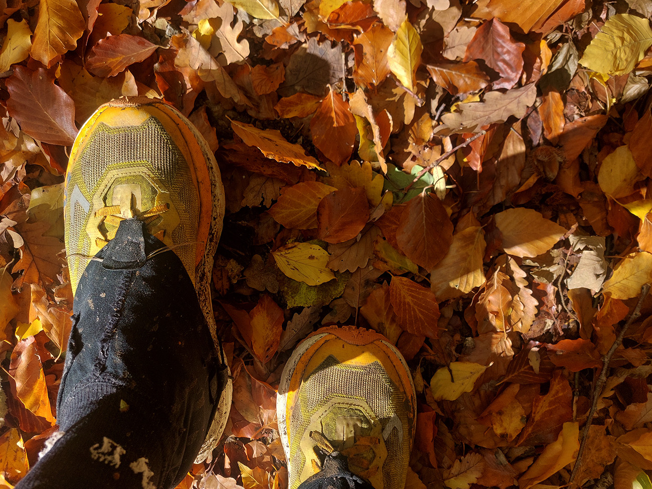 l�tiavnicky-ultra-punk-2025