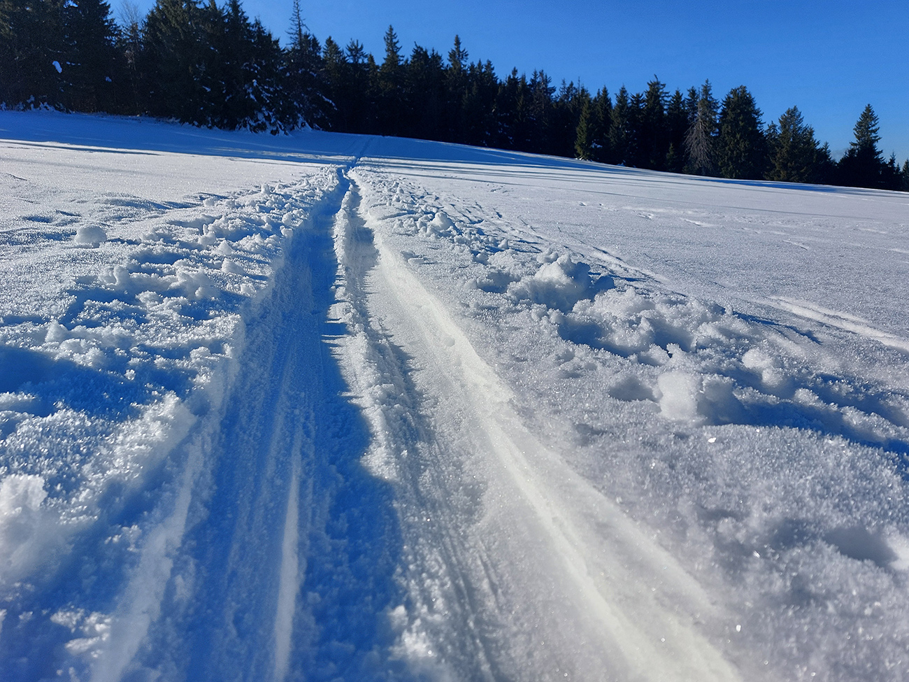 kubinska-hola-–-prislop-a-nazad