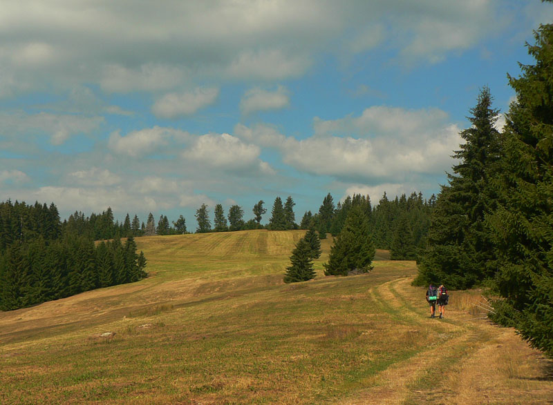 od-vepra-k-vepru-den-piaty-skanzenovy