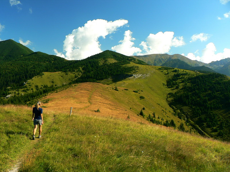 sivy-vrch-salatin-a-spat