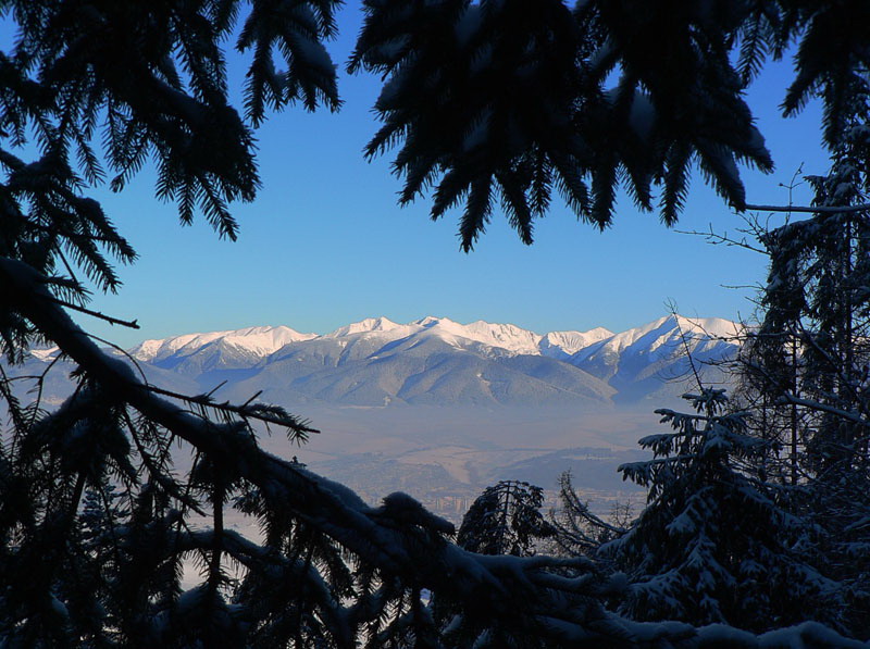 zimny-pokus-o-krakovu-holu