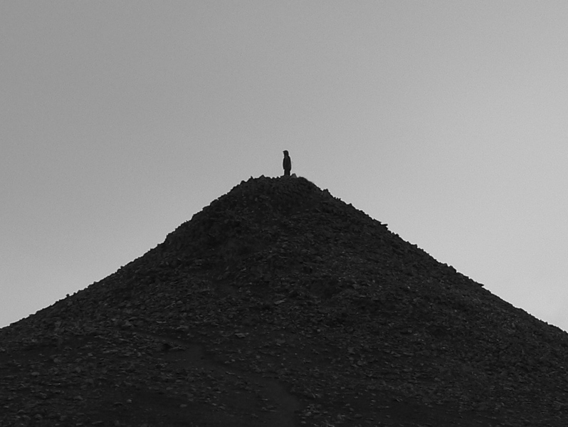 island-8-hoskuldsskali