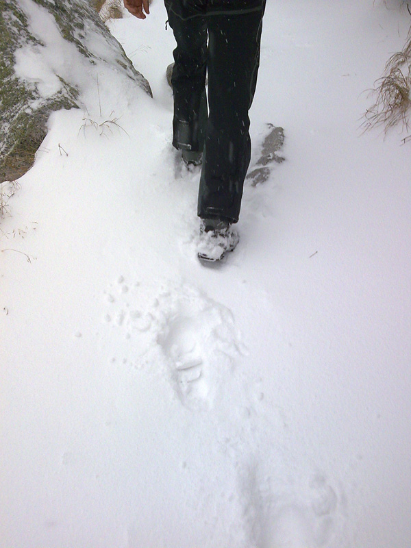 memorial-ing-jozefa-psotku-27-rocnik