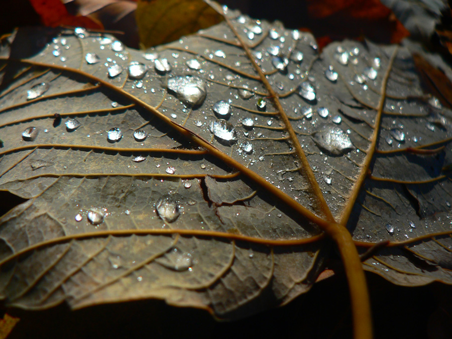 oravsky-podzamok-–-kubinska-hola-–-zazriva